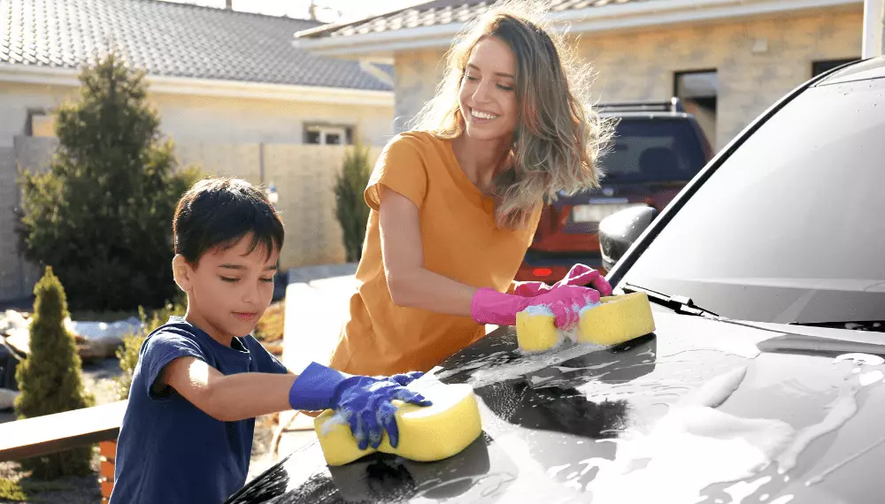 do-it-yourself car wash