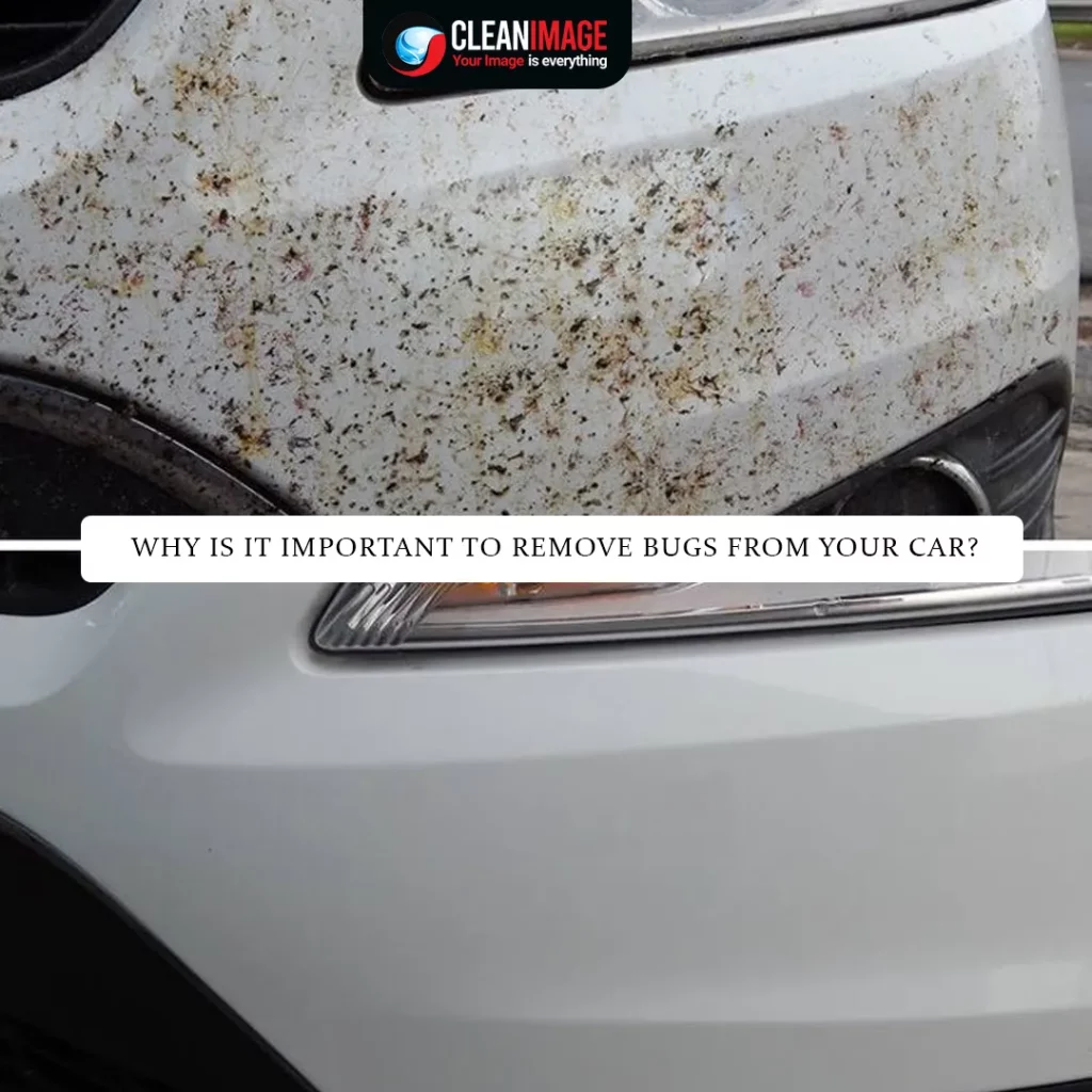 before and after image of bugs removal from car