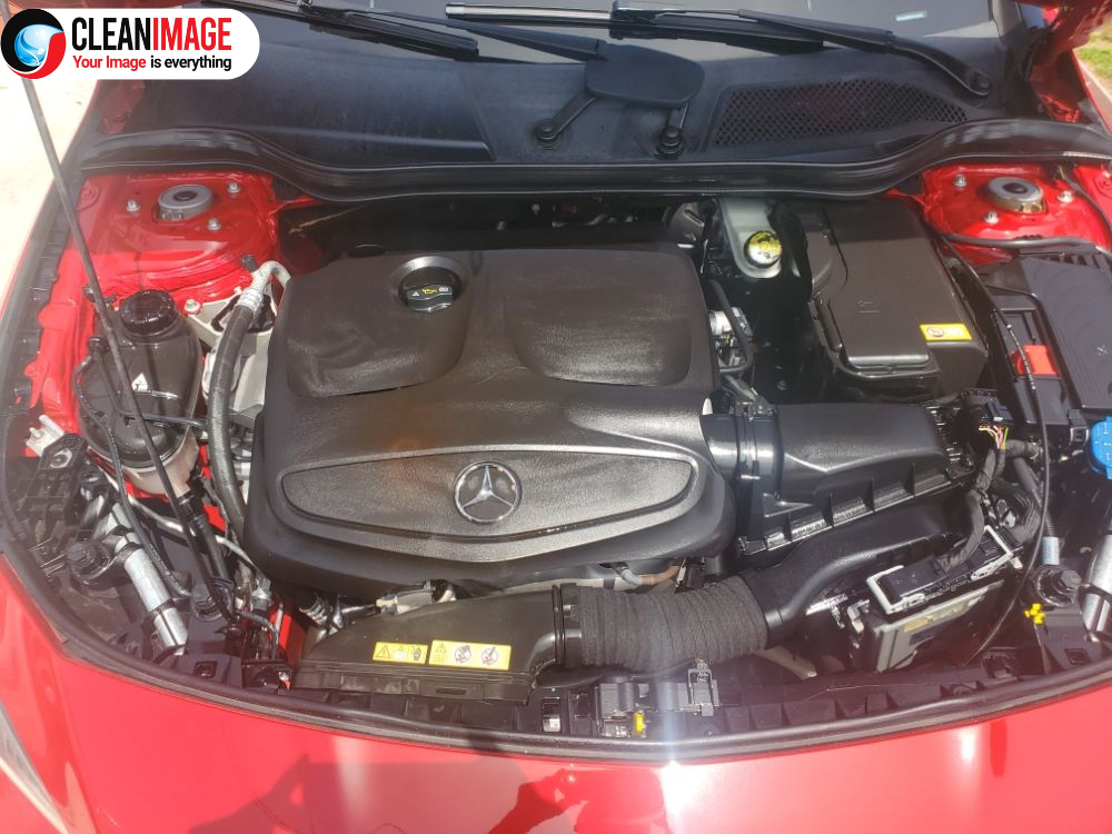 Car Engine Cleaning