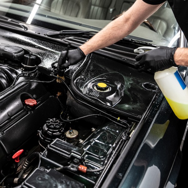 Engine cleaning service