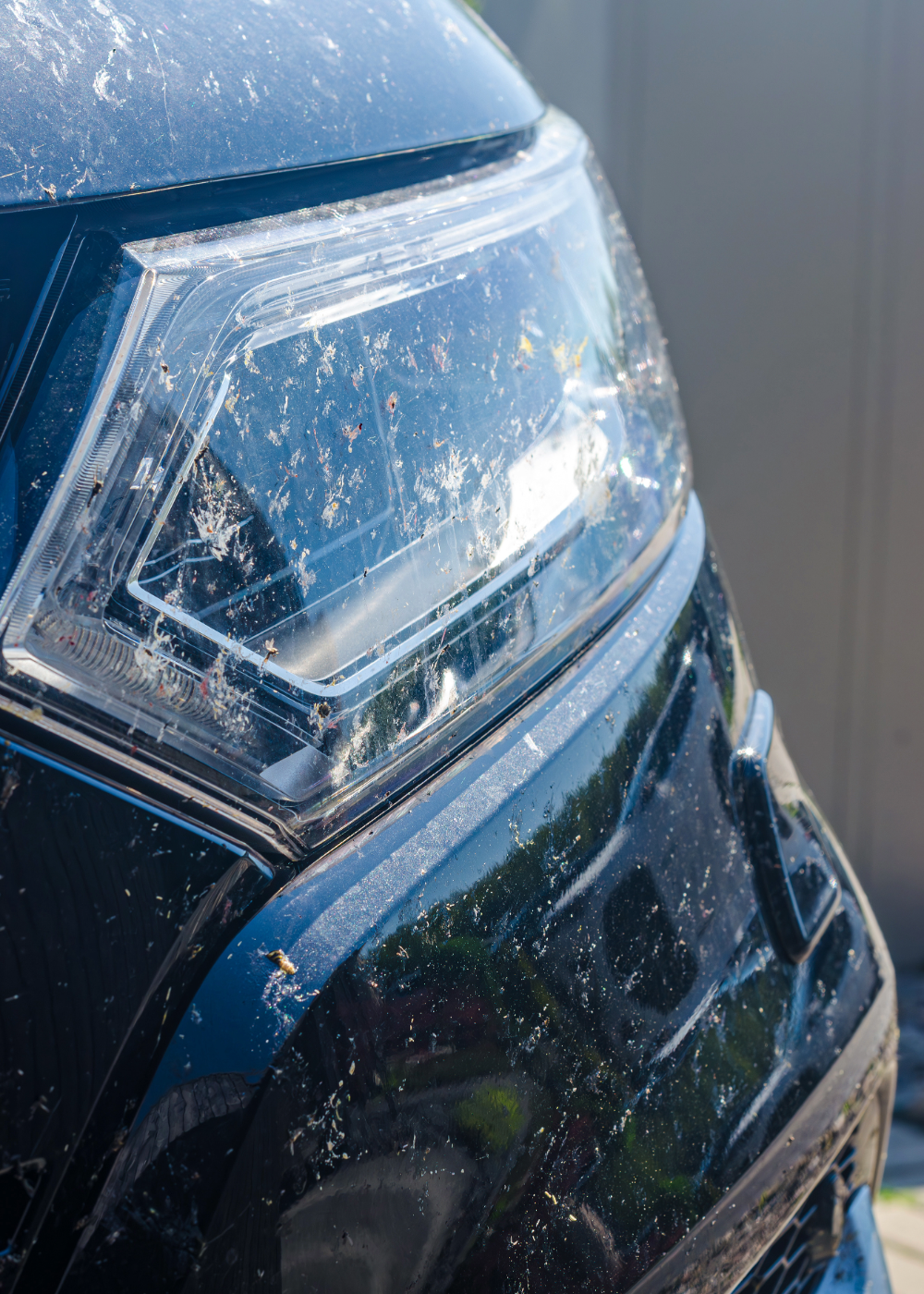 Dirty car paint and headlight in Montclair