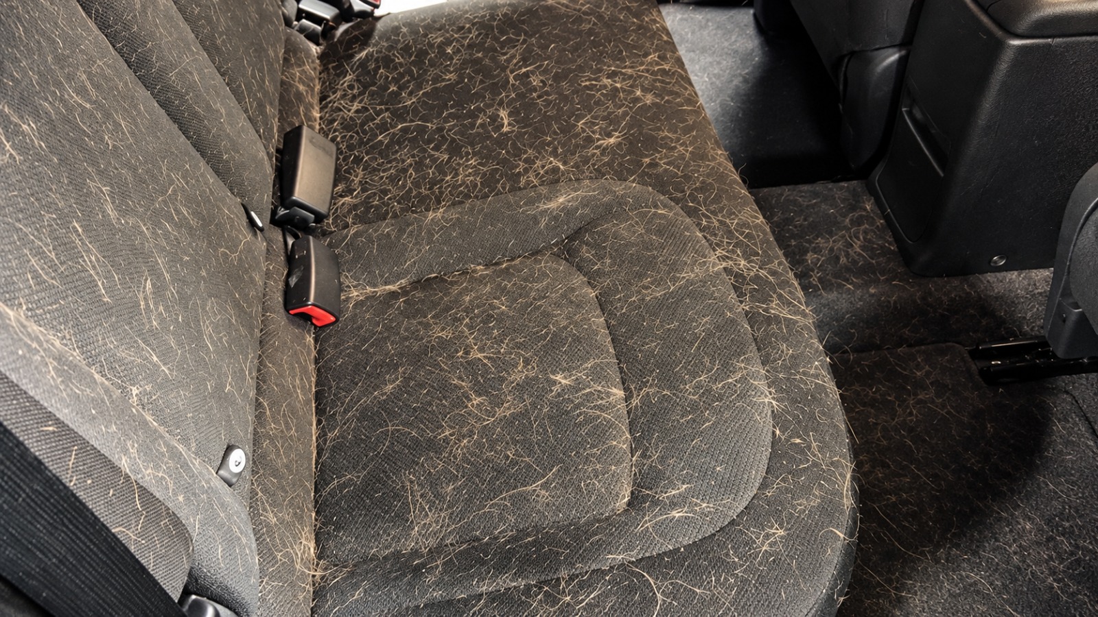 Dark fabric rear bench covered in pet hair before cleaning